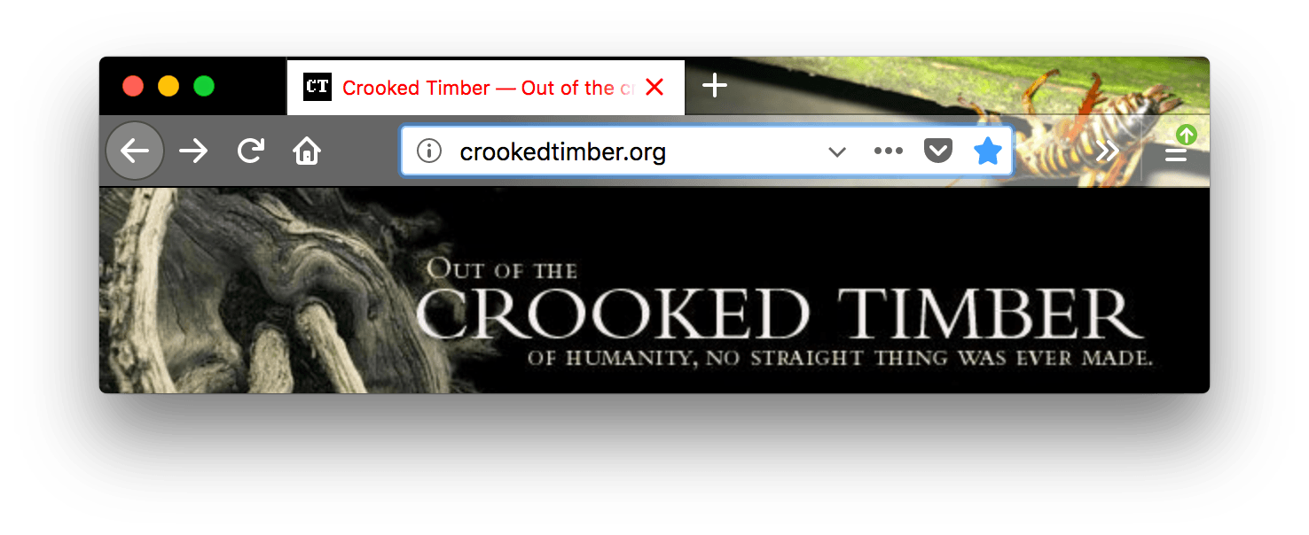 Das Firefox-Theme zeigt ein Insekt. Die URL-Leiste ist hellgrau mit weißen Symbolen. Der Text des ausgewählten Tabs ist rot auf weißem Hintergrund.