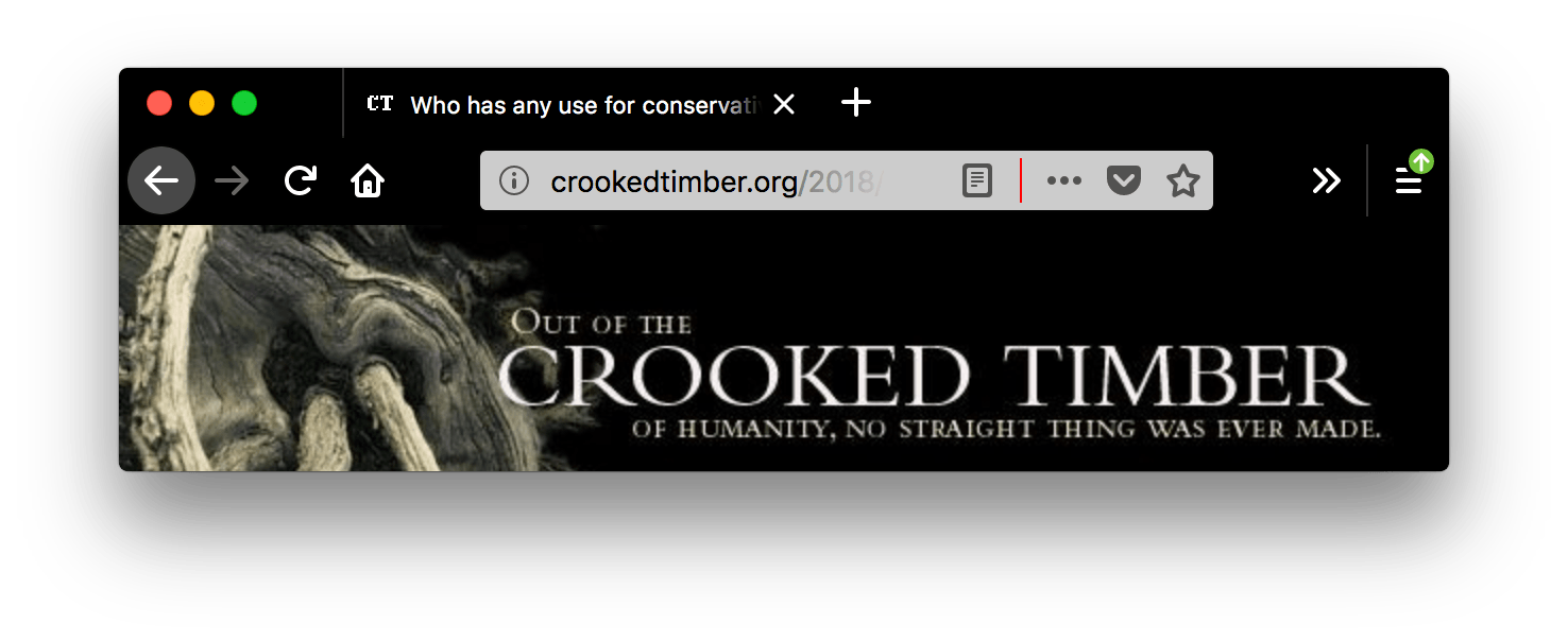 Screenshot eines Browserfensters mit einem geöffneten Tab. Firefox ist schwarz. Der Tab und die URL-Leiste sind schwarz mit weißem Text und weißen Symbolen. Innerhalb des weißen Felds der URL-Leiste trennt eine rote vertikale Linie hinter dem Symbol für den Lesemodus die übrigen Symbole ab.