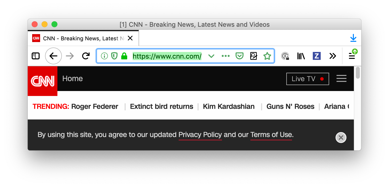 Firefox ist weiß. Der Tab und die URL-Leiste sind weiß mit schwarzem Text und schwarzen Symbolen. Das Feld der URL-Leiste ist fokussiert, blau umrandet und der Text darin ist ausgewählt.
