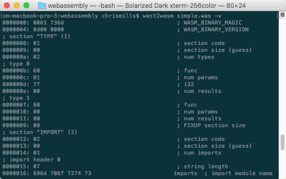 several strings of binary with textual descriptions beside them. For example: 0000008: 01 ; section code