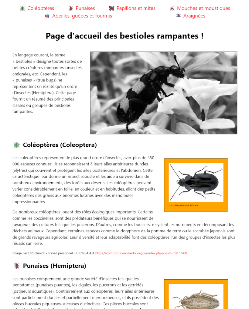 Notre exemple de page d'accueil